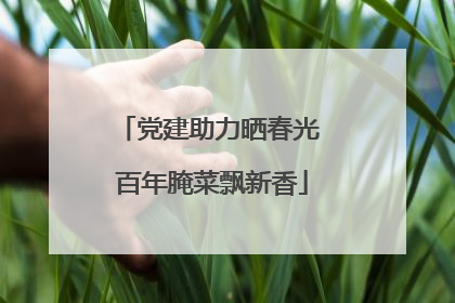 党建助力晒春光 百年腌菜飘新香