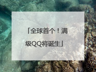 全球首个！满级QQ将诞生
