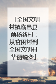 全国文明村镇临邑县前杨新村：从贫困村到全国文明村华丽蜕变