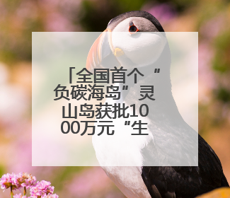 全国首个“负碳海岛”灵山岛获批1000万元“生态贷”