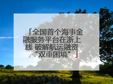 全国首个海事金融服务平台在浙上线 破解航运融资“双重困境”