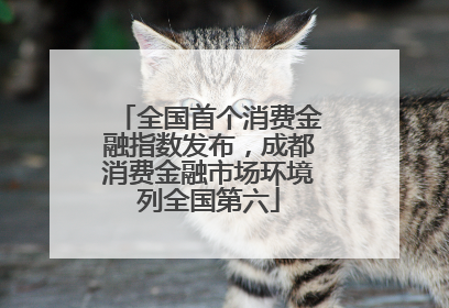 全国首个消费金融指数发布，成都消费金融市场环境列全国第六