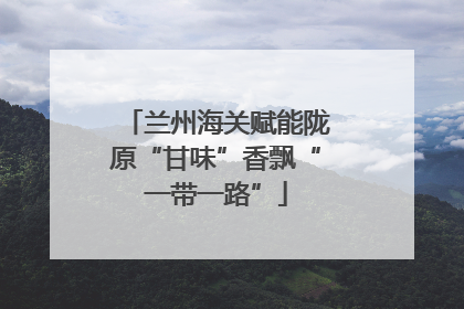 兰州海关赋能陇原“甘味”香飘“一带一路”
