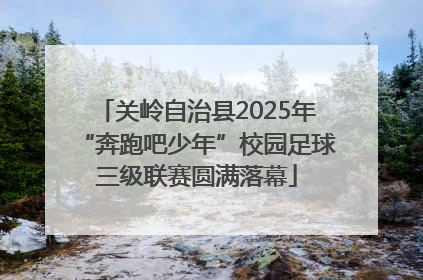 关岭自治县2025年“奔跑吧少年”校园足球三级联赛圆满落幕
