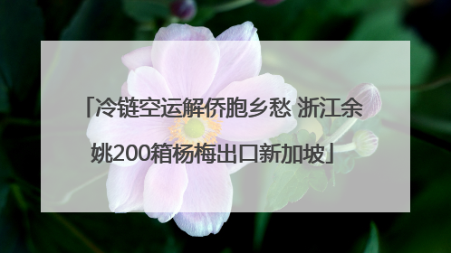冷链空运解侨胞乡愁 浙江余姚200箱杨梅出口新加坡