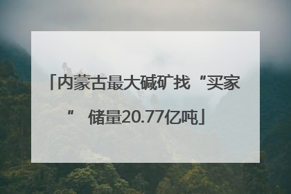内蒙古最大碱矿找“买家” 储量20.77亿吨