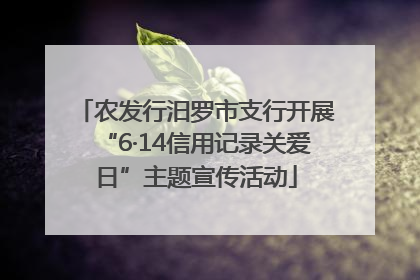农发行汨罗市支行开展“6·14信用记录关爱日”主题宣传活动