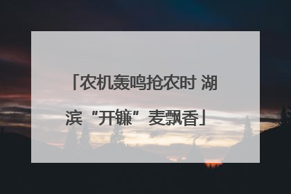 农机轰鸣抢农时 湖滨“开镰”麦飘香