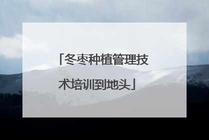 冬枣种植管理技术培训到地头