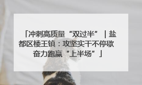 冲刺高质量“双过半”｜盐都区楼王镇：攻坚实干不停歇 奋力跑赢“上半场”