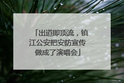 出道即顶流，镇江公安把安防宣传做成了演唱会