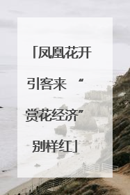 凤凰花开引客来 “赏花经济”别样红