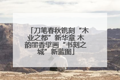 刀笔春秋镌刻“木业之都”新华章 木韵墨香擘画“书刻之城”新蓝图