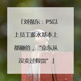 刘强东：P5以上员工薪水基本上都翻倍，“京东从没卖过假货”