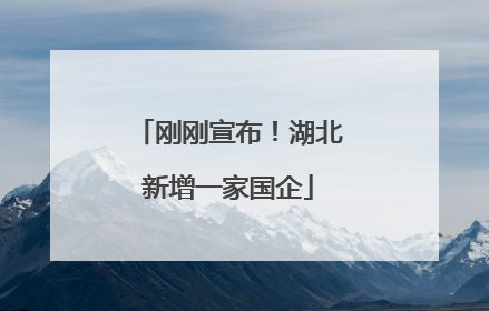 刚刚宣布！湖北新增一家国企