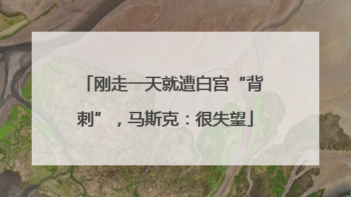 刚走一天就遭白宫“背刺”，马斯克：很失望