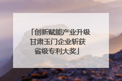 创新赋能产业升级 甘肃玉门企业斩获省级专利大奖