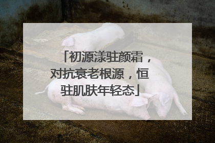 初源漾驻颜霜，对抗衰老根源，恒驻肌肤年轻态