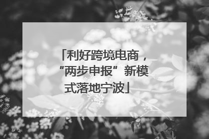 利好跨境电商，“两步申报”新模式落地宁波