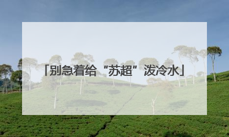 别急着给“苏超”泼冷水