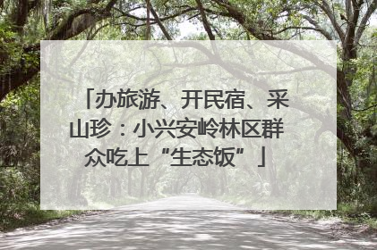 办旅游、开民宿、采山珍：小兴安岭林区群众吃上“生态饭”