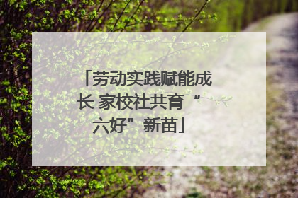 劳动实践赋能成长 家校社共育“六好”新苗