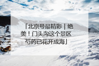 北京号最精彩｜绝美！门头沟这个景区芍药已花开成海