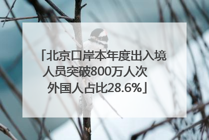 北京口岸本年度出入境人员突破800万人次 外国人占比28.6%