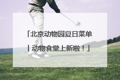 北京动物园夏日菜单丨动物食堂上新啦！
