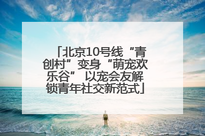 北京10号线“青创村”变身“萌宠欢乐谷” 以宠会友解锁青年社交新范式