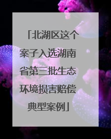 北湖区这个案子入选湖南省第三批生态环境损害赔偿典型案例