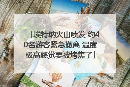 埃特纳火山喷发 约40名游客紧急撤离 温度极高感觉要被烤焦了