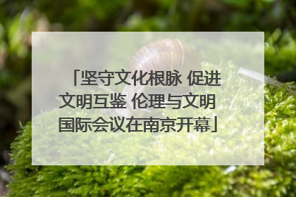 坚守文化根脉 促进文明互鉴 伦理与文明国际会议在南京开幕