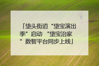 垡头街道“垡宝演出季”启动 “垡宝治家”数智平台同步上线