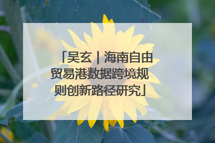 吴玄｜海南自由贸易港数据跨境规则创新路径研究