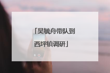 吴毓舟带队到西坪镇调研