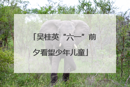 吴桂英“六一”前夕看望少年儿童