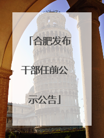 合肥发布干部任前公示公告