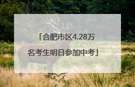 合肥市区4.28万名考生明日参加中考