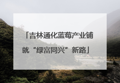 吉林通化蓝莓产业铺就“绿富同兴”新路