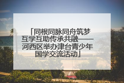 同根同脉同舟筑梦 互学互助传承共融——河西区举办津台青少年国学交流活动