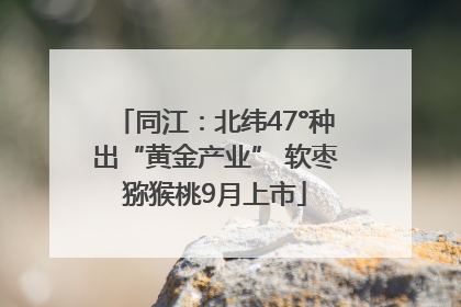 同江：北纬47°种出“黄金产业” 软枣猕猴桃9月上市