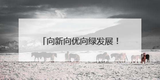 向新向优向绿发展！京东物流(豫北)智能物流港在辉县市启用