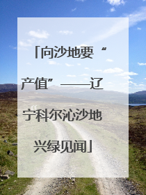 向沙地要“产值”——辽宁科尔沁沙地兴绿见闻