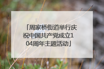 周家桥街道举行庆祝中国共产党成立104周年主题活动