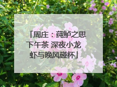 周庄：莼鲈之思下午茶 深夜小龙虾与晚风碰杯