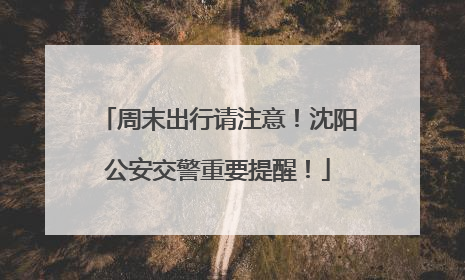 周末出行请注意！沈阳公安交警重要提醒！