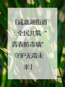 咸嘉湖街道：全民共筑“青春防毒墙” 守护无毒未来