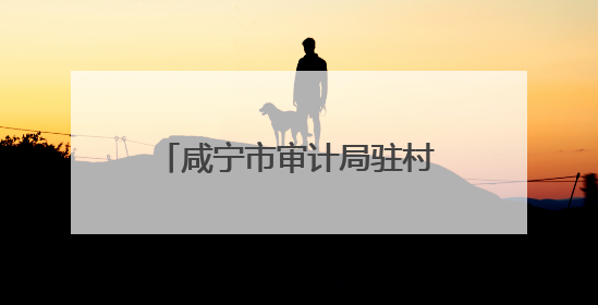 咸宁市审计局驻村工作队巧用“三招”点亮美丽乡村