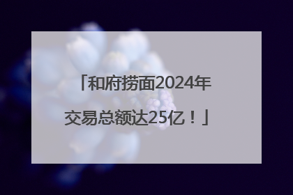和府捞面2024年交易总额达25亿！